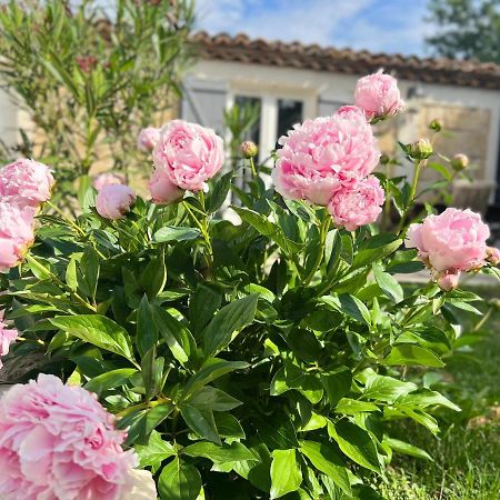 Mas La Farelle Gite, Fitness & Salle De Jeux Gratuite & Spa En Supplement Nîmes Dış mekan fotoğraf