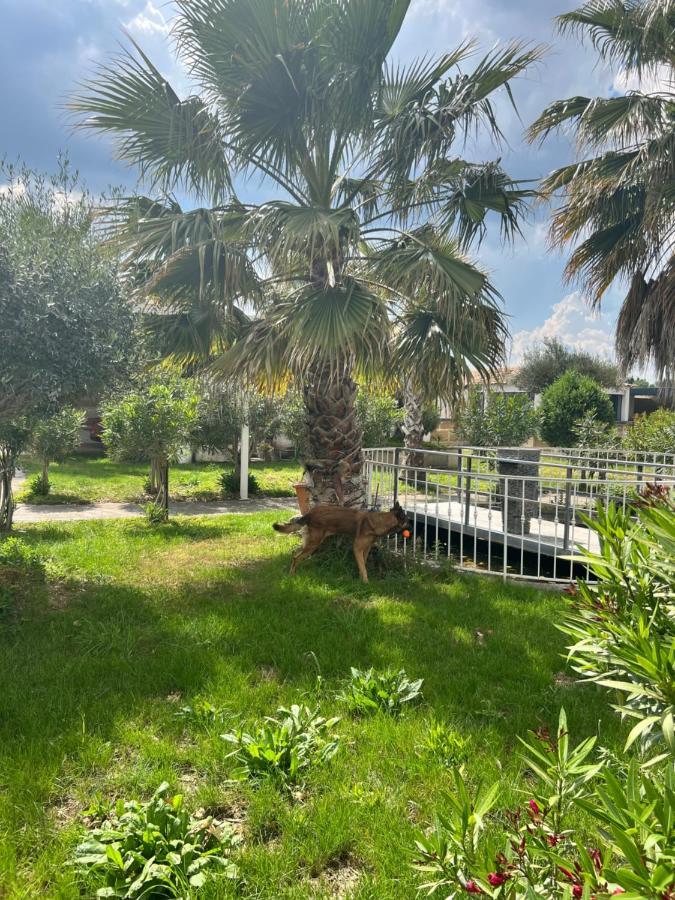 Mas La Farelle Gite, Fitness & Salle De Jeux Gratuite & Spa En Supplement Nîmes Dış mekan fotoğraf